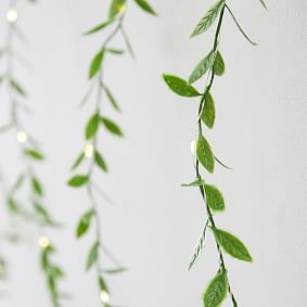 Open Box:  Curtain Leaf Waterfall String Lights