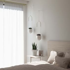 Bolo Planter