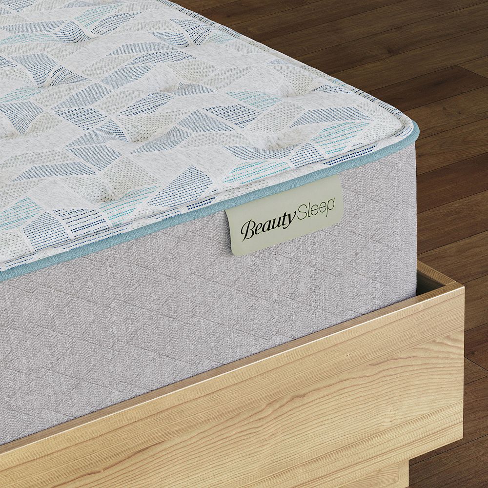 BeautySleep&#174;&#160;Slumber Escape Plush Mattress (13.75&quot;h)