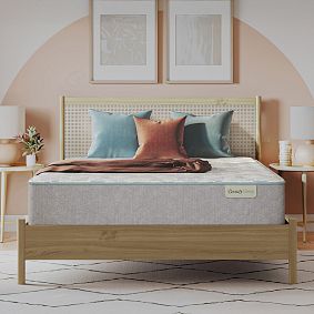 BeautySleep&#174;&#160;Slumber Escape Plush Mattress (13.75&quot;h)