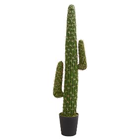 4.5' Cactus Faux Plant
