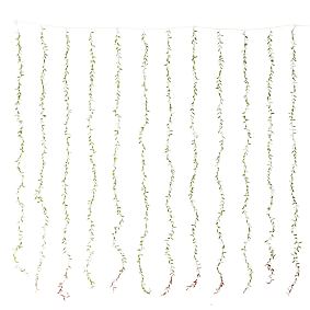 Open Box:  Curtain Leaf Waterfall String Lights