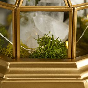 Harry Potter&#8482; Hagrid&#8482;'s Hut Terrarium