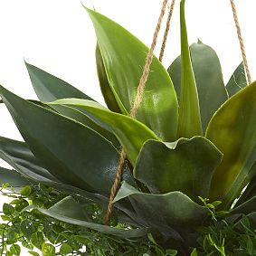 Agave and Maiden Hair Artificial Plant in Hanging Basket