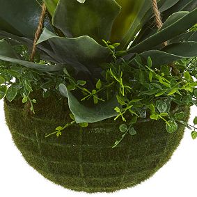 Agave and Maiden Hair Artificial Plant in Hanging Basket