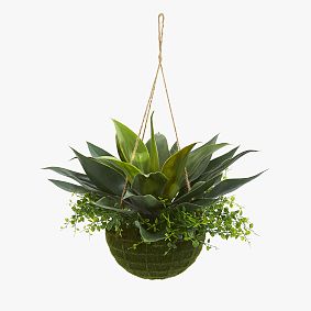 Agave and Maiden Hair Artificial Plant in Hanging Basket