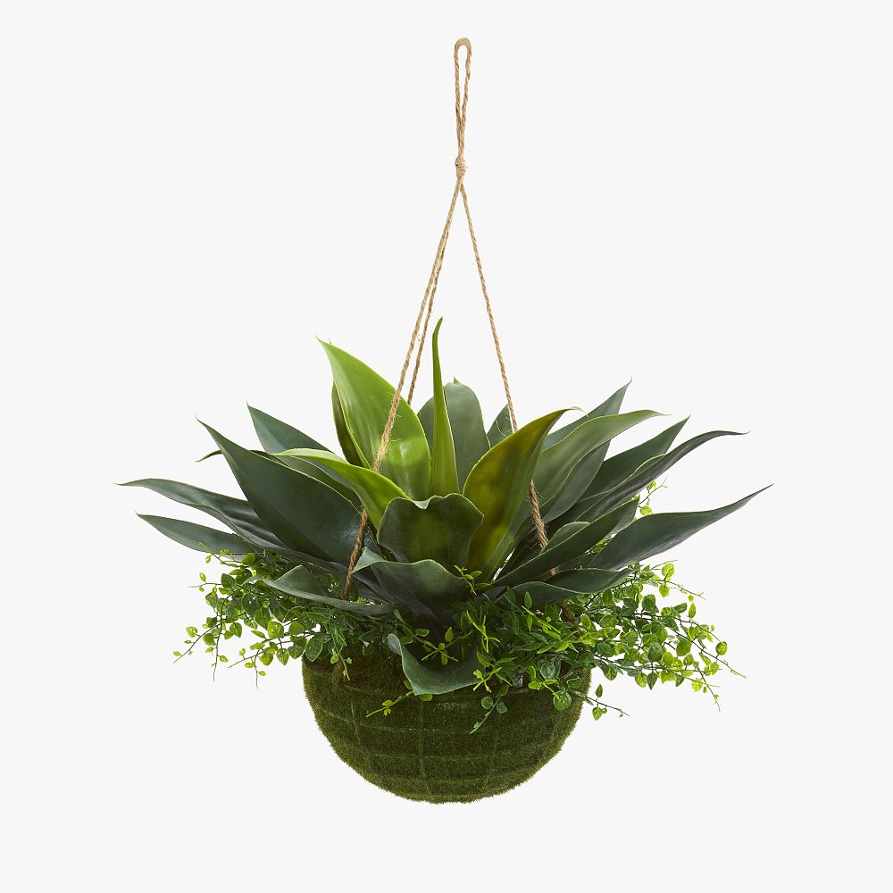 Agave and Maiden Hair Artificial Plant in Hanging Basket