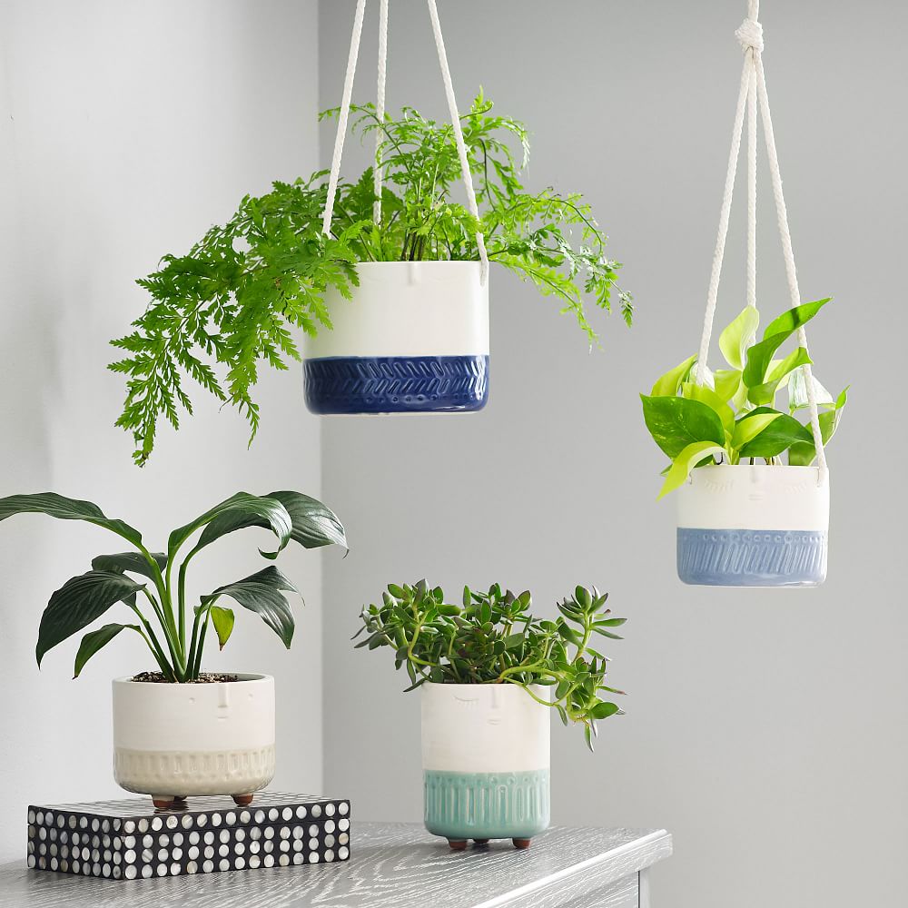 Face Planters, Set of 2