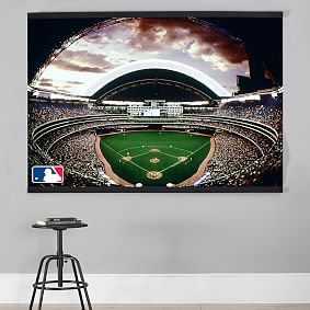 <i>MLB&#8482;</i> Stadium Wall Mural