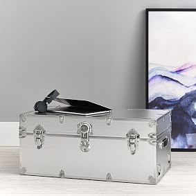 Metallic Standard Trunk