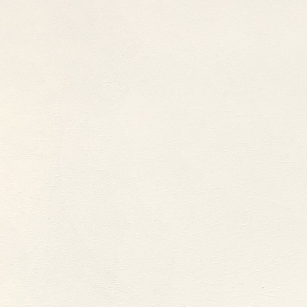 Soft White Wood Swatch