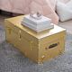 Video 1 for Metallic Standard Trunk
