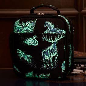 HARRY POTTER&#8482; Gear-Up Patronus Glow-in-the-Dark Classic  Lunch Box