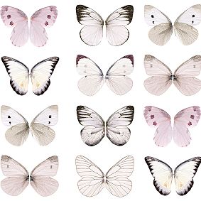 Butterflies Surestrip Wallpaper, 3'x9'