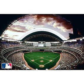 <i>MLB&#8482;</i> Stadium Wall Mural