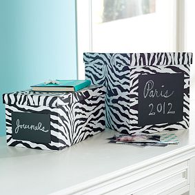 Zebra/Chalk Bins