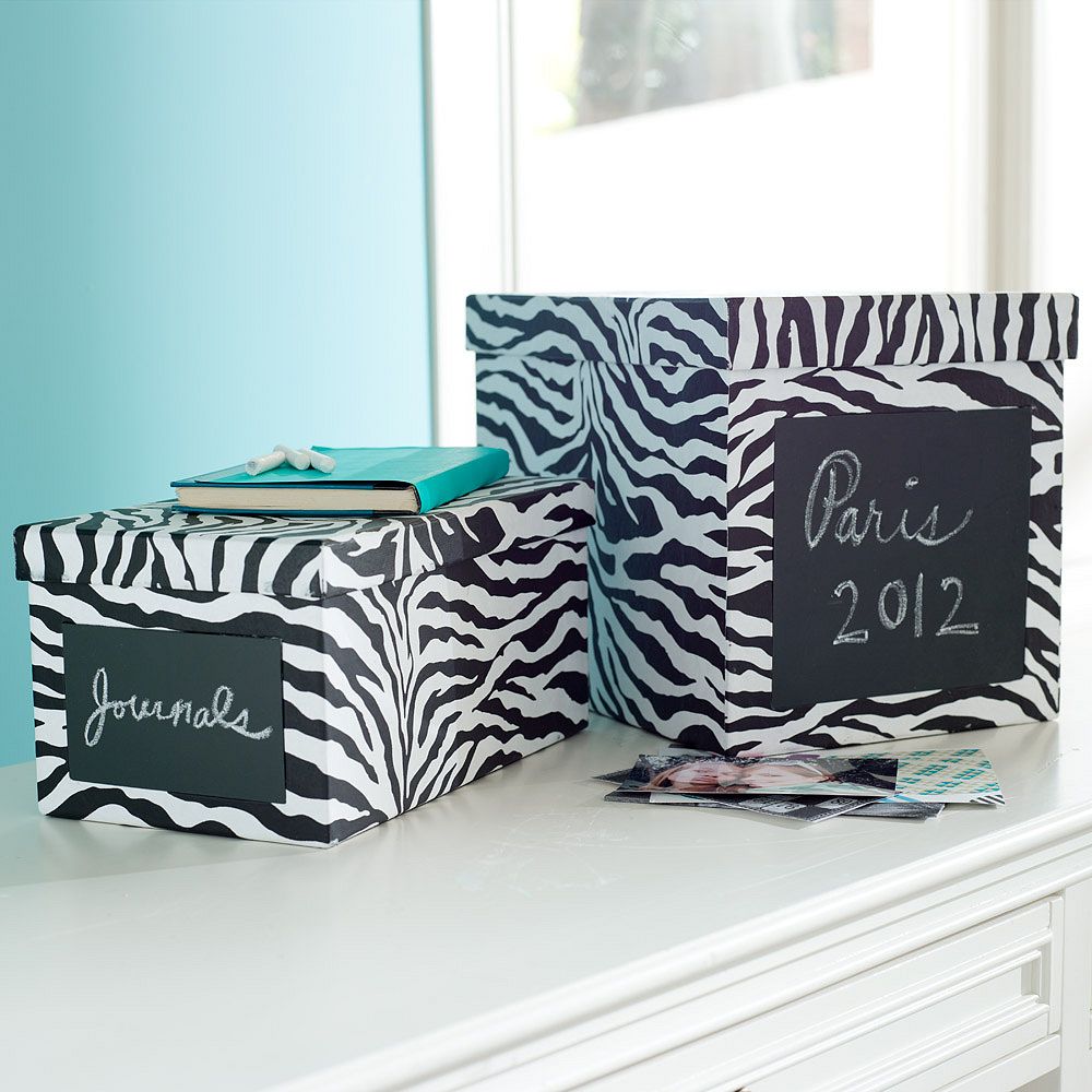 Zebra/Chalk Bins