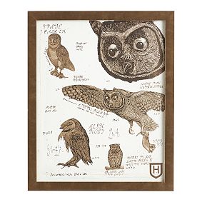 Harry Potter&#8482; Framed Owl Art, 13&quot;x16&quot;