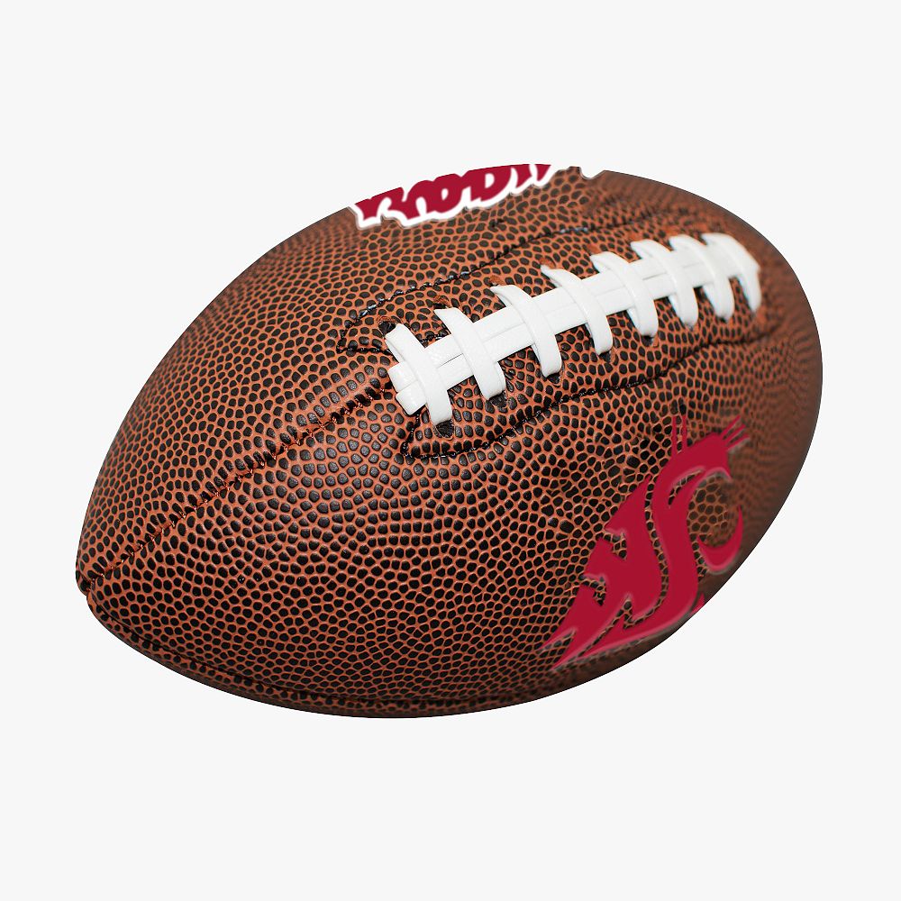 College Mini Football (5&quot;x8&quot;)