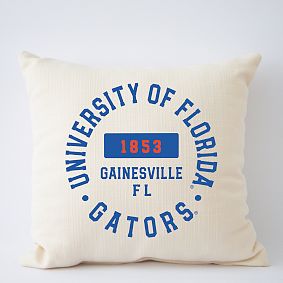 College Filled Pillow