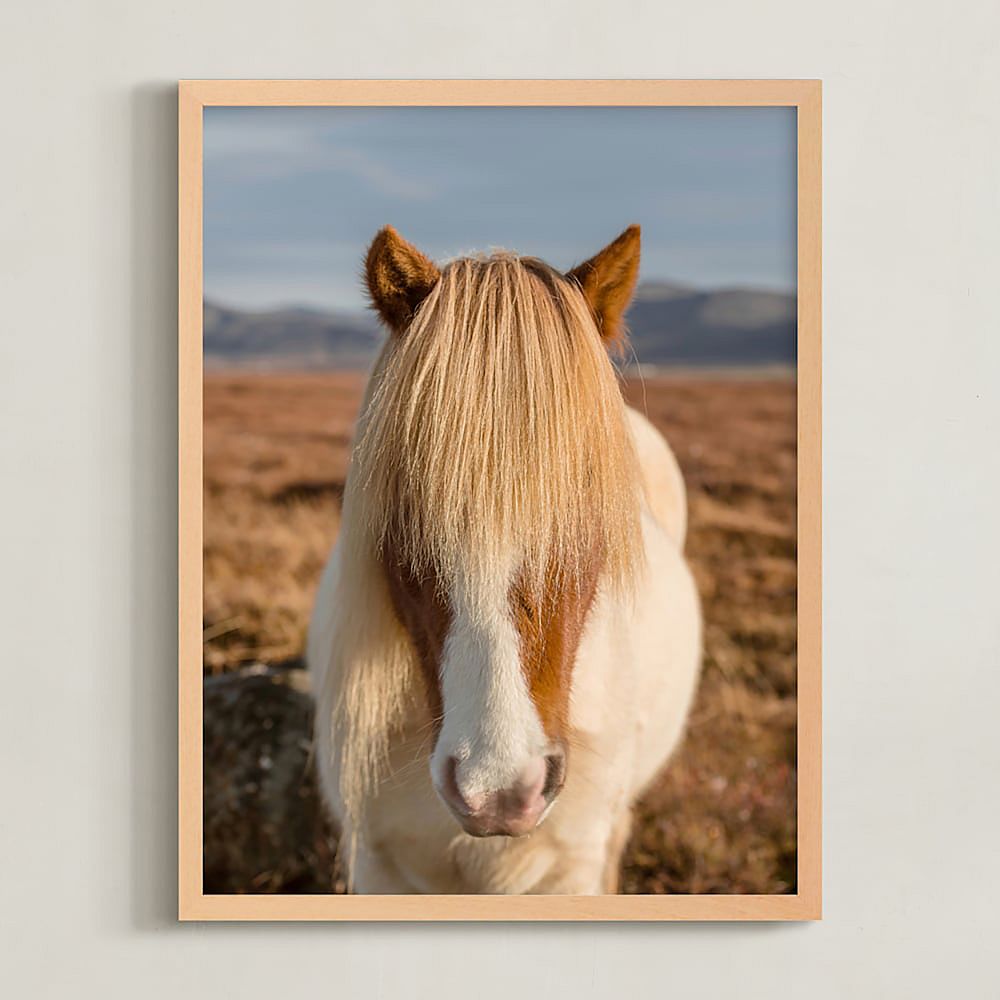 Minted&#174; Icelandic Horses 2 Wall Art by Crystal Lynn Collins