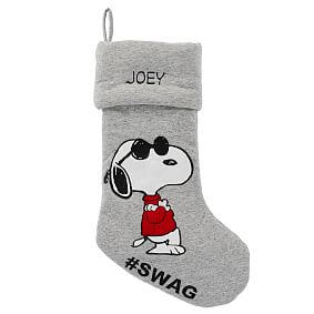 Peanuts&#174; Joe Cool Stocking