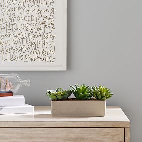 Faux Potted Succulent Arrangement
