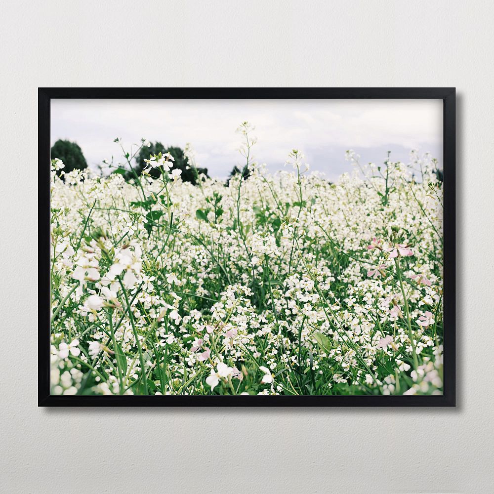 Minted&#174; Dream Field Framed Art by Morgan Kendall