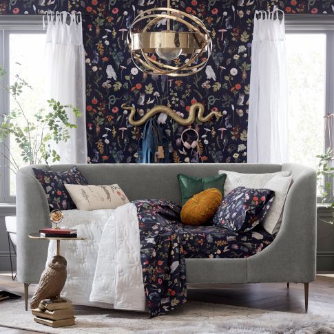 Plants Potions Beyond Bedroom