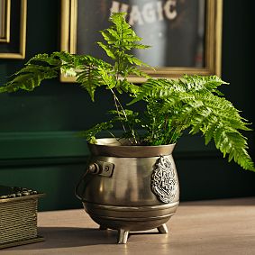 Harry Potter&#8482; Cauldron Planter