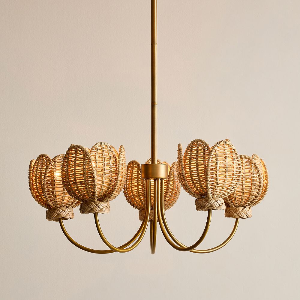 Tulip Chandelier (25&quot;)