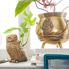 Harry Potter&#8482; Cauldron Planter