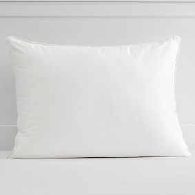Stay Pure Standard Pillow Insert