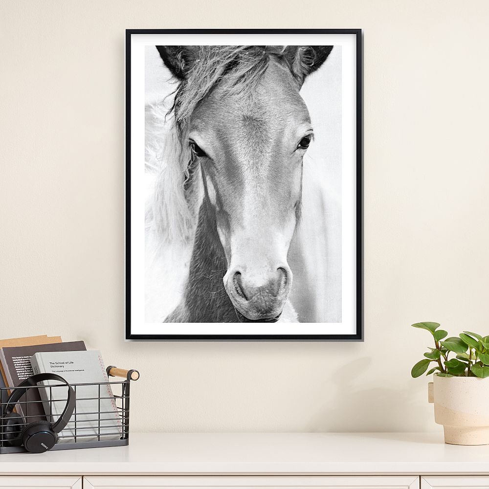 Minted&#174; Wild and Free Framed Art