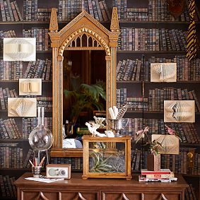 Harry Potter™ Bookshelf Wallpaper, 3'x9'