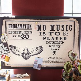 Harry Potter™ Proclamation Pinboard