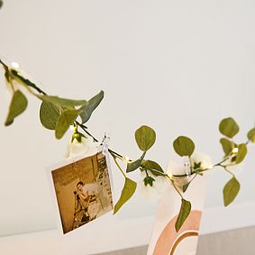 Vine Garland with Fairy Lights &amp; Photo Clips