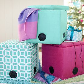 Suede Rockin' Speaker Storage Cube