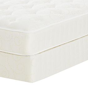 View Detail - Perfect Sleeper Plush Mattress + Box Spring