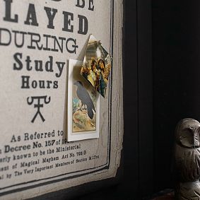 Harry Potter™ Proclamation Pinboard