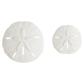 Resin Sand Dollar Decor, Set Of 2