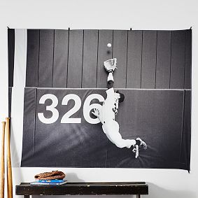 Baseball Tapestry