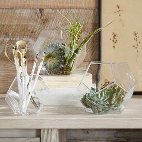 Glass Tabletop Terrarium