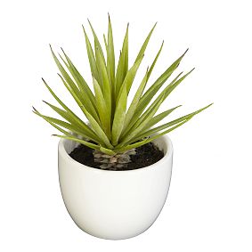 Faux Potted Southwest Plants, Set of 3
