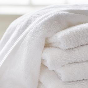 Design Crew Basics Terry Cotton Towels