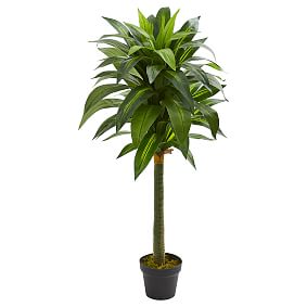Dracaena Faux Plant