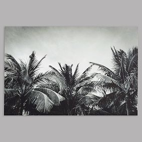 Palm Canvas Art, 36"x24"