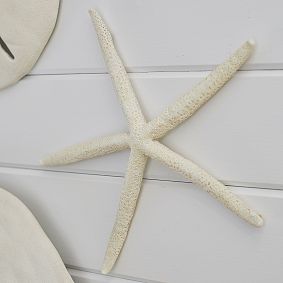Resin Starfish Decor, Set Of 2