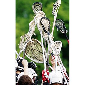 Lacrosse Wall Mural