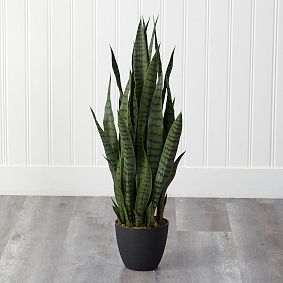 Sansevieria Artificial Plant